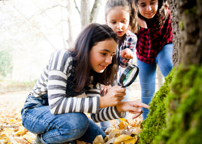 IO3: Outdoor STEM educator guide